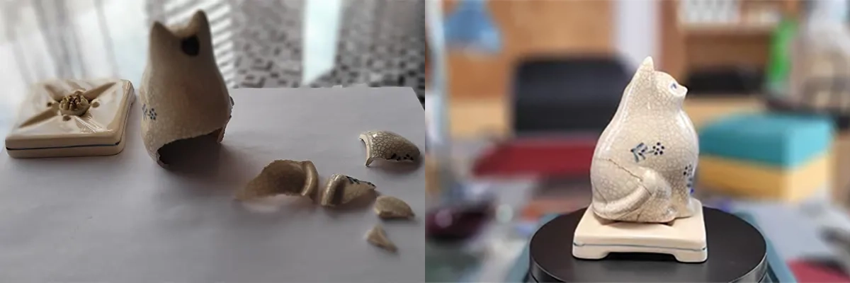 20220915_moo_chat_avant-apres copie